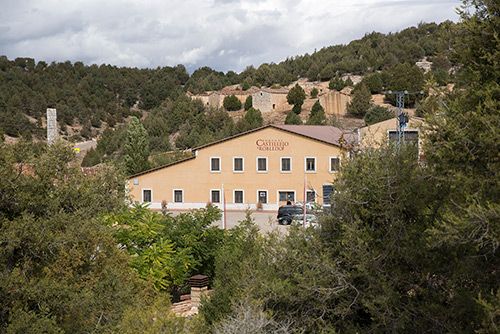 The winery - Bodegas Castillejo de Robledo