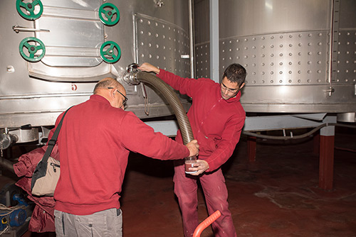 The winery - Bodegas Castillejo de Robledo