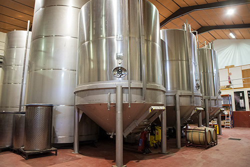 La Bodega - Bodegas Castillejo de Robledo