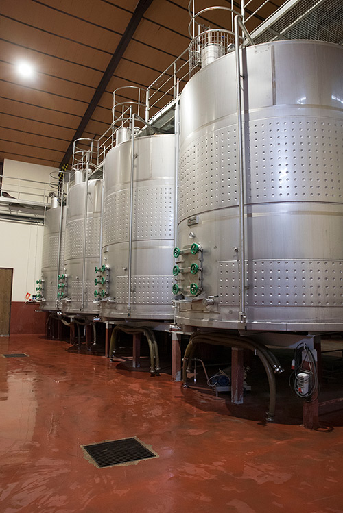 The winery - Bodegas Castillejo de Robledo